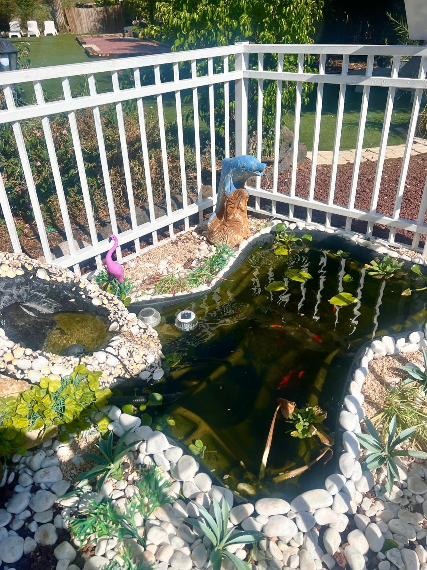 Motel Magical In The Galilee Kiryat Shemona Exterior foto